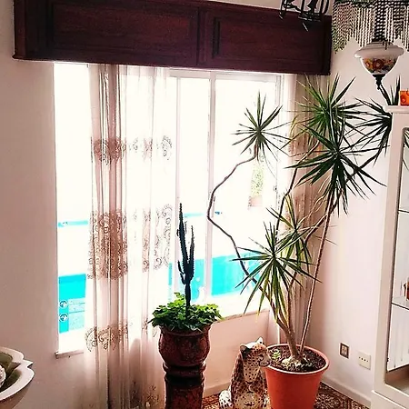 La Maison Dos Prazeres 招待所